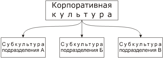 Разделение КК на субкультуры