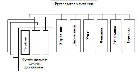 Дивизиональная структура организации