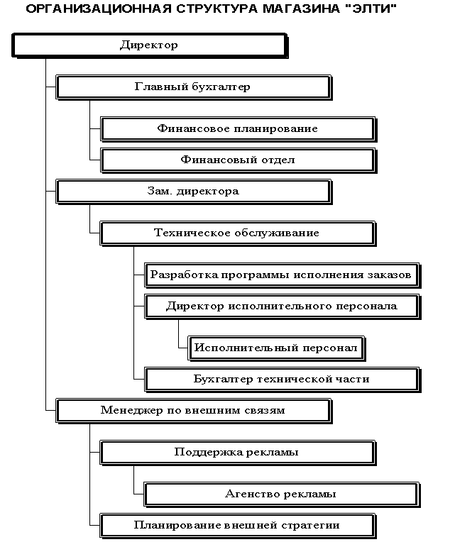Организационная структура магазина Элти