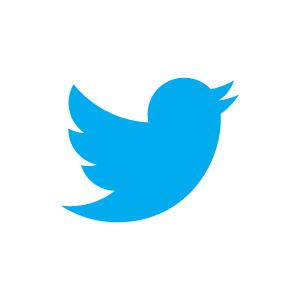 Твитер и Твиттер, или как разница в пару букв и невнимательность создают активные торги пустышками